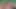 Trailer Weihnachten 2023 Arietta Adams und Anna chambers dreier