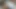 Sluts Desperate for Cum Get Giant Bukkake Facials Huge Cock Facial Cumshot Compilation