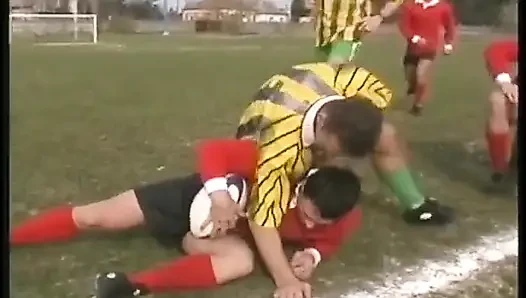 Sporcular