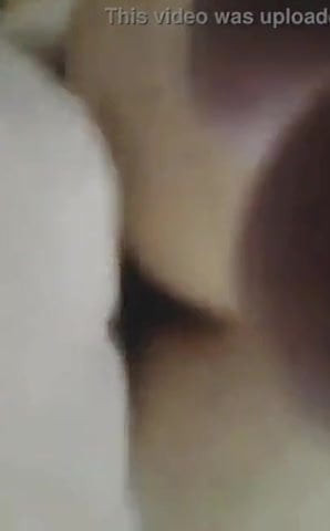 Doggy 4