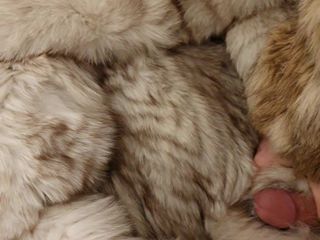 Fox fur video1