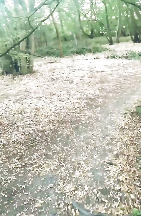 POV Naked Walk in the Woods