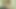 Bonnie wright  jerk off challenge