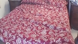 Bangora clips