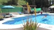 Vidiyo privyoo