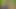 Cornfield Blowjob For Exhibitionist Lad