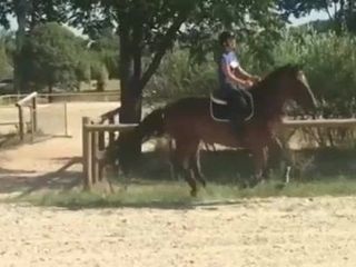 Mestra cavalgando