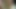 Schwuler schmeckt große Anal-Cumshots