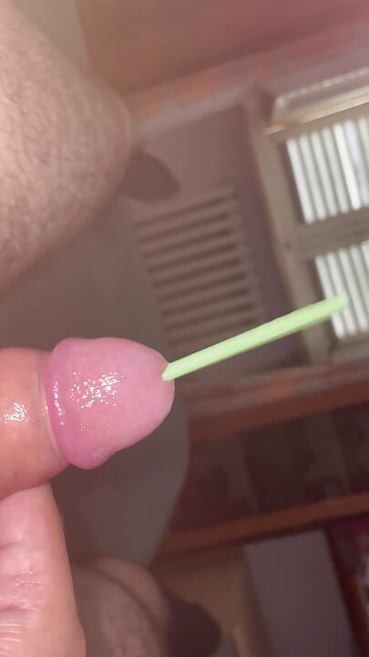 White cock tortured