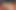 Sohimi sucking vibrator thrusting dildo plug masturbation
