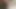 Frens 29 riesige gepumpte Schwanzbild-Zusammenstellung