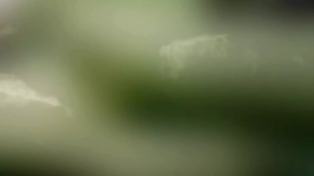 Ο άντρας --- ω ναι