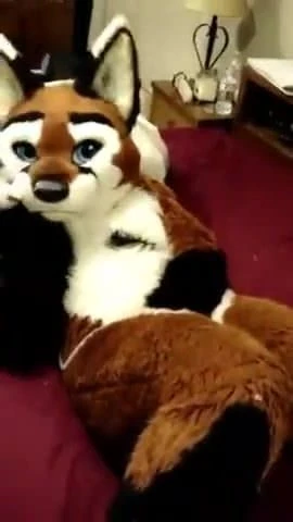 female fox masturbating