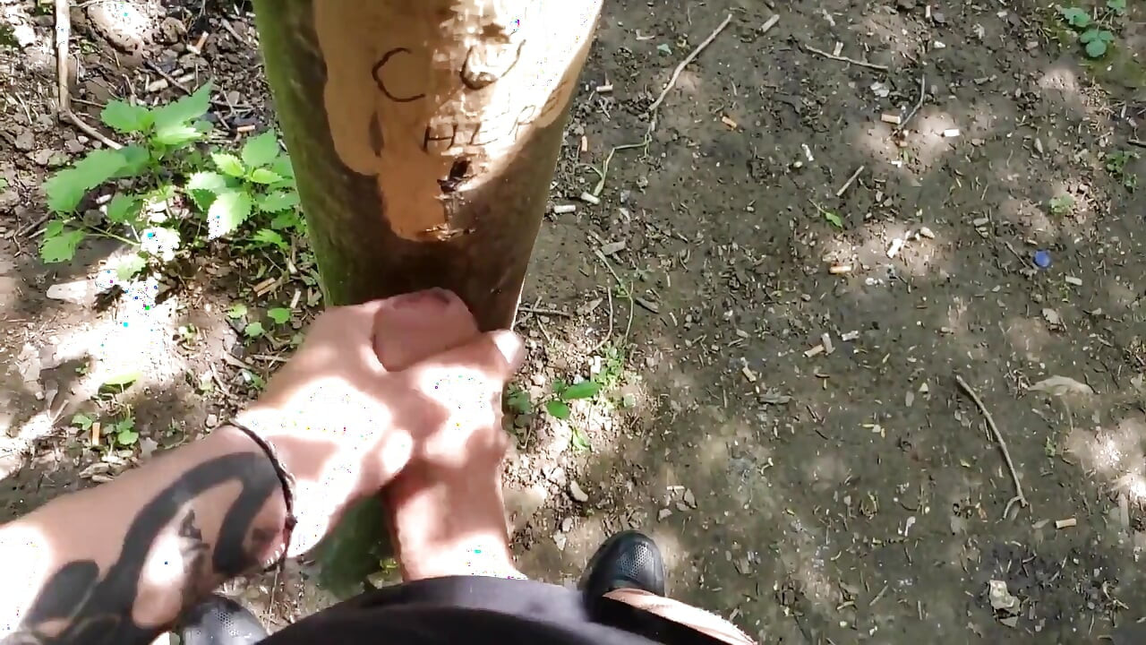 Wytrysk na spust tutaj drzewa, Pokazuje spust z bliska i sikanie w obszarze rejsowym