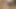 I love masturbating - Maiski