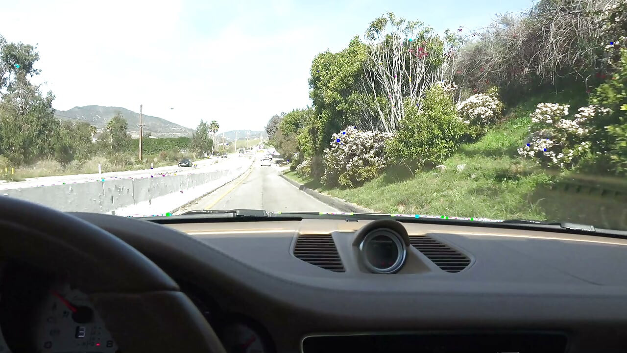 Brianna Arson Cute Amateur Hawaii Roadhead POV Plays With Pussy Sucks Cock
