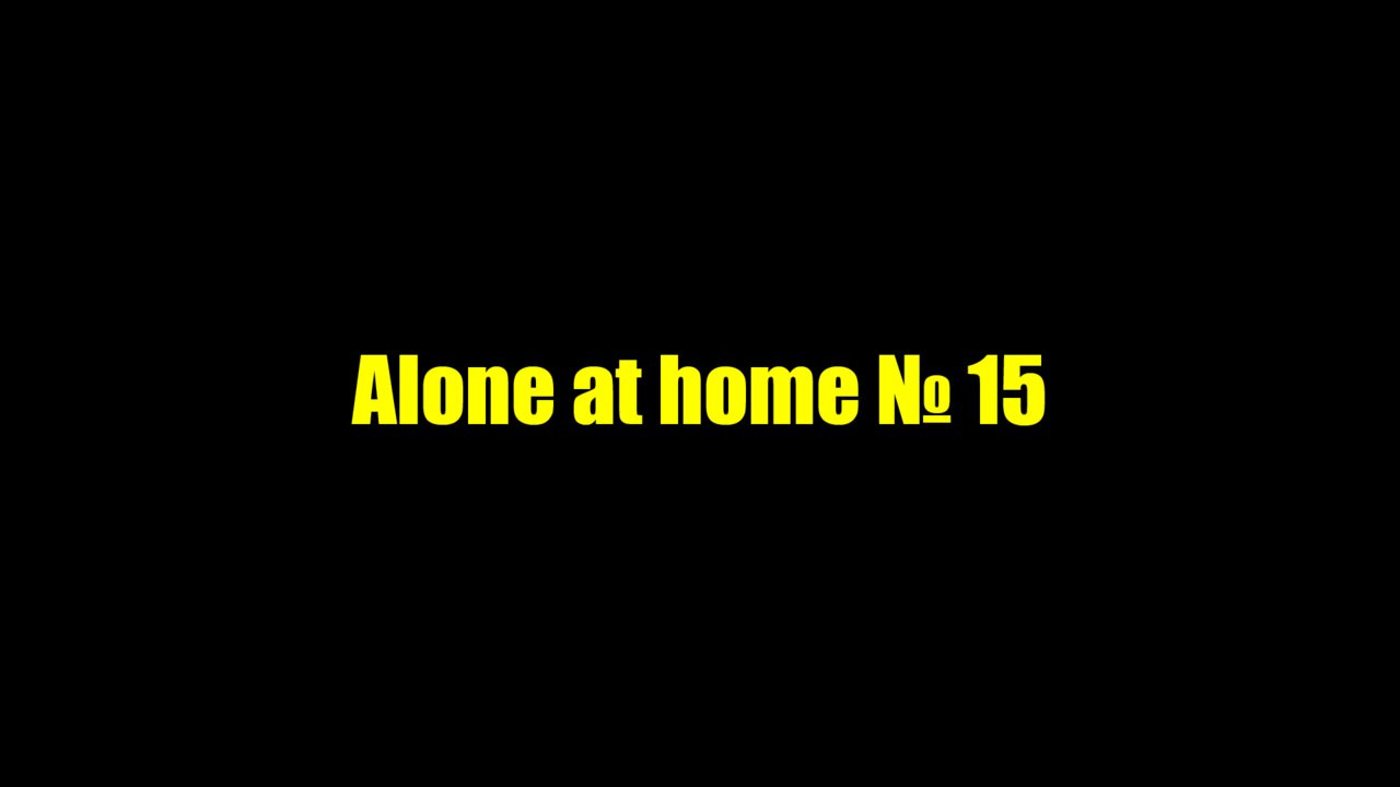 Один дома 15