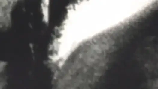 Unzucht Und Aufregung Von Huren