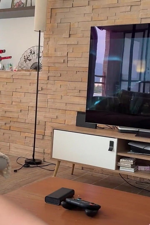 Meu meio-irmão me convence a foder em vez de assistir ao filme!