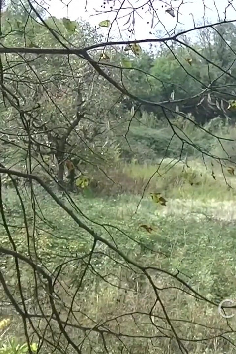 2353 Fat Boy Fucked Raw in Jockstrap by Vitkror Om