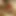 Foreplay by the Fire: a Sensual Christmas Tease - 444