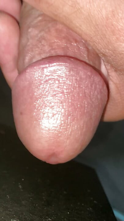 My big cock it's getting an erection from the horn, and it's wanting to fuck someone's pussy hole