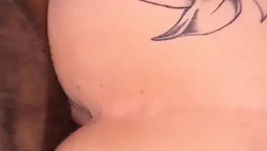 Snowbunny geri atıyor