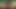 Amber Lily kendi ayak tırnağı emiyor