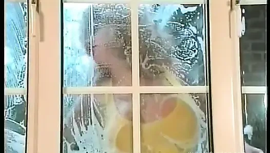 Die fensterputzmaschine