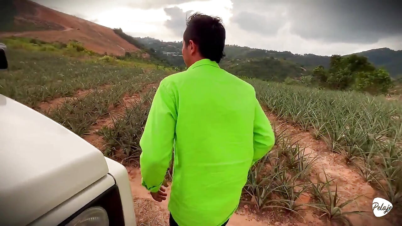 Vesnická žena chtěla sklidit ananas a místo toho vysadil Cassavu do její kundičky