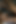 Nasty Girlfriend Makes Me so Honey and Begs Me to Fuck Her Roughly