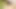 Creampie anal derleme covid-19, 2021 karantina 3. bölüm!