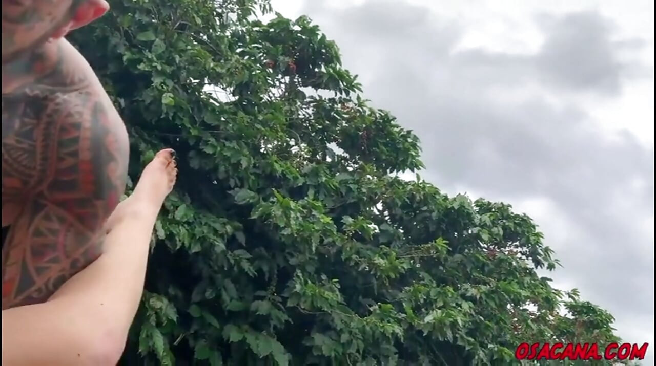 Beautiful Young Girl with Dreads Fucks Inside the Coffee Plantation