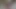 Second wank video
