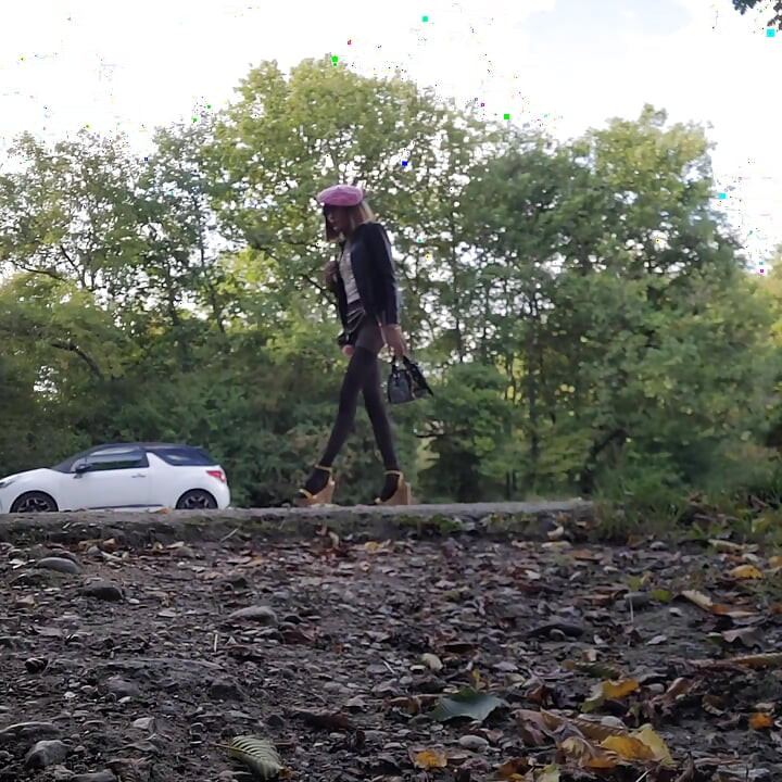 Walking in the Forest