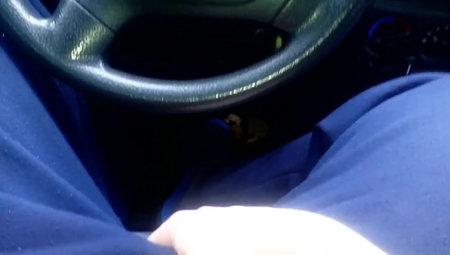 Schwanz bearbeiten im Auto