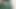 Green Satin Mutual Masturbation