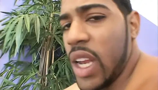 Renae Cruz Insasiable Slut with More Desires