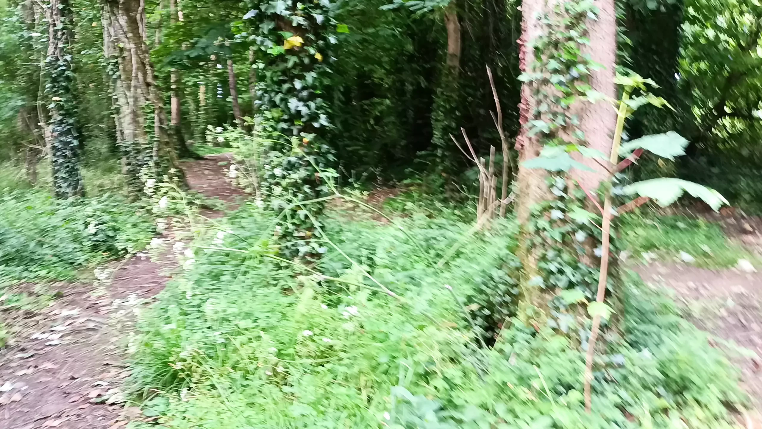 Big Uncut Cock Out Walking, Pissing, Wanking in the Woods Wearing Cords - Rockard Daddy