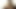 素晴らしいラティーナのトランスセクシュアルが硬くなったペニスを撫でる