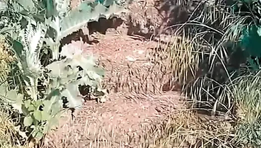 Video WillyAlexandruPetre