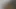 User Tribute
