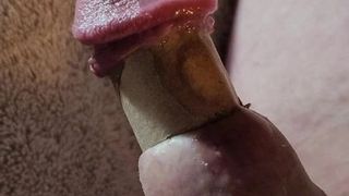 Pequeno pau jorra porra enquanto está preso em um micro tubo de cogumelo