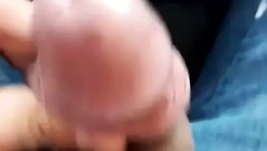 paja en el auto