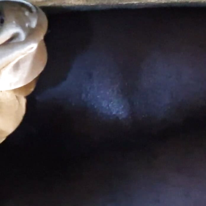 Saya Mahukan Orgasme Sekarang