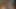 Sexlab yenilgisi ve kafatası sikişi (kelimenin tam anlamıyla)