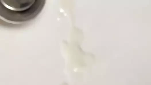 Spermaladung
