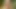 Springtime - Charlotte Stokely