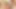 BBW-Superstar Sofia Rose fickt 2 riesige Schwänze