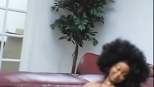 Wenn Du Statt Muschi Eine Galerie Hast